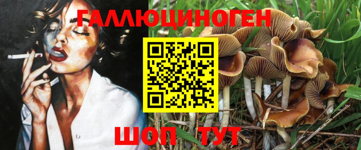 Псилоцибиновые грибы Psilocybine cubensis Магнитогорск