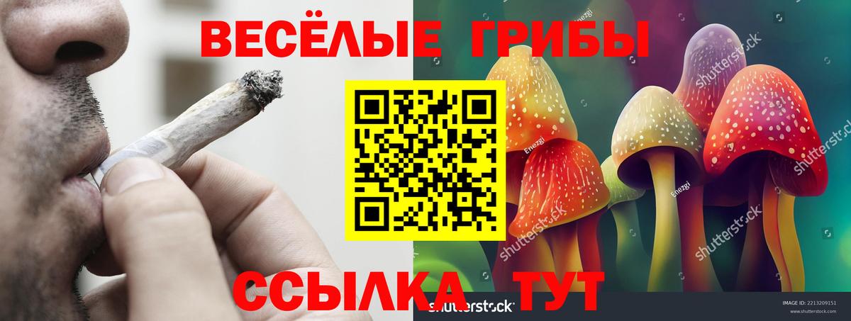 Галлюциногенные грибы Psilocybe  Вход с VPN  дарнет шоп  Псилоцибиновые грибы Psilocybe  Магнитогорск 